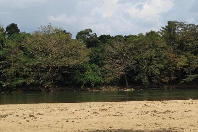 Wasgamuwa National Park Safari from Kandy - What You Get for the Price