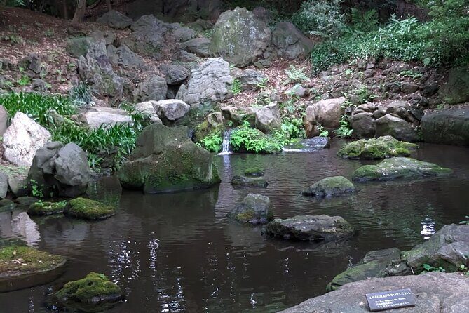 Wash Bodhisattva and Explore Japanese Garden, Tokyo. - Who Would Love This Tour?