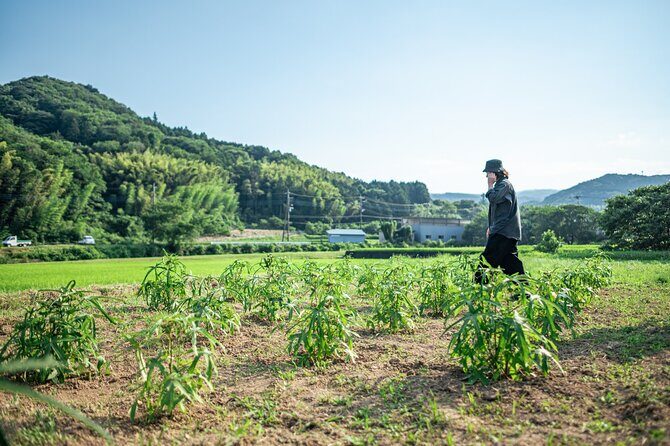 Washi workshop in Shizenji - The Sum Up