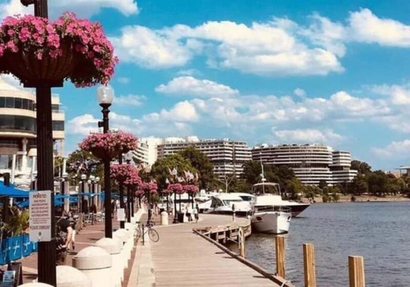 Washington D.C : Best Street Food Tour With A Local Guide - The Guide and Overall Experience