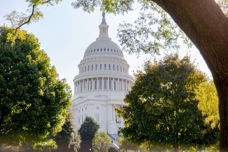 Washington DC: Bus Tour with US Capitol and Archives Access - Authentic Experiences & Honest Feedback from Travelers