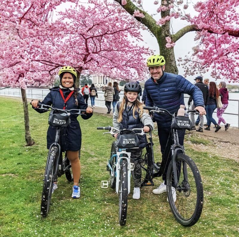 Washington DC: Cherry Blossom Festival Tour by Bike - A Detailed Look at the Experience