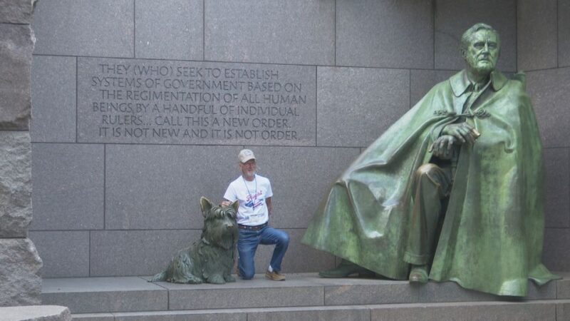 Washington DC: Cherry Blossom Walking Tour - A Deep Dive into the Cherry Blossom Walking Tour
