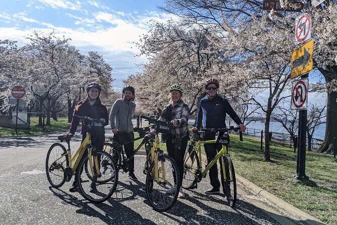 Washington DC Cherry Blossoms By Bike Tour - The Sum Up