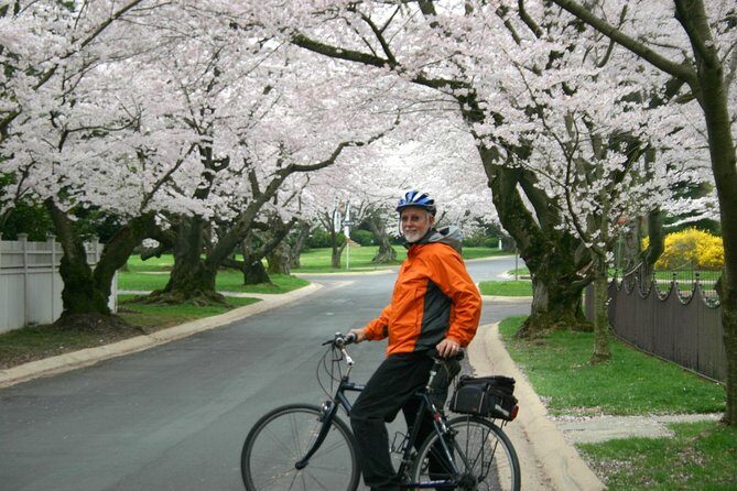 Washington DC Cherry Blossoms By Bike Tour - FAQ