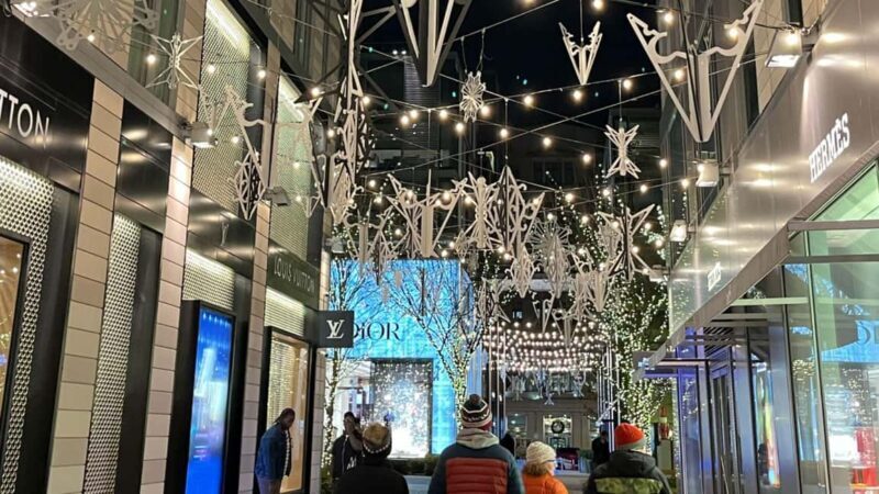 Washington, DC: Christmas Tree & Holiday Lights Bus Tour - Analyzing the Value