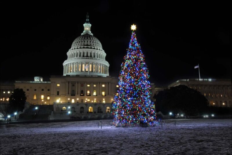 Washington, DC: Holiday Lights Nighttime Bus Tour - A Detailed Look at the Tour Experience