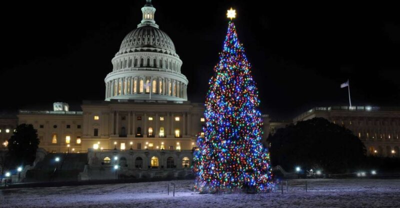 Washington, DC: Holiday Lights Nighttime Bus Tour - Final Thoughts