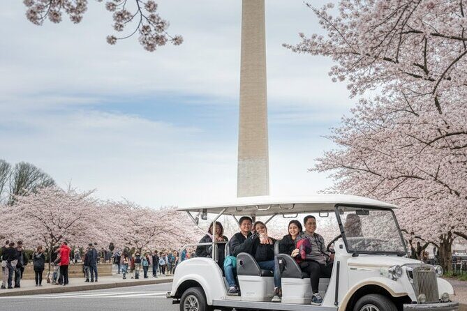 Washington DC Monument's Cherry Blossom Guided E-Cart Tour - Who Will Love This Tour?