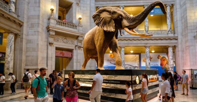 Washington DC: Museum of Natural History Private Guided Tour - Washington DC: Museum of Natural History Private Guided Tour