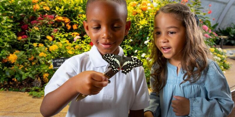 Washington DC: Museum of Natural History Private Guided Tour - The Value of a Private Tour