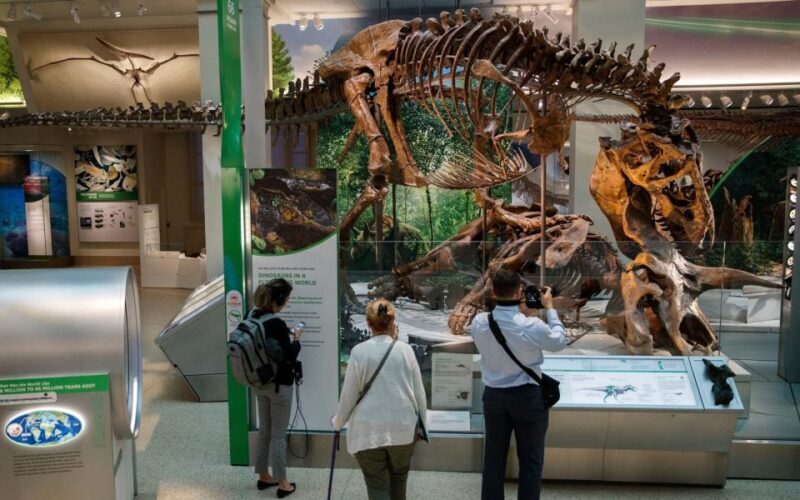 Washington DC: Museum of Natural History Private Guided Tour - Practical Details & Tips