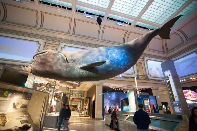 Washington DC: Museum of Natural History Private Guided Tour - Reviews & Real Experiences