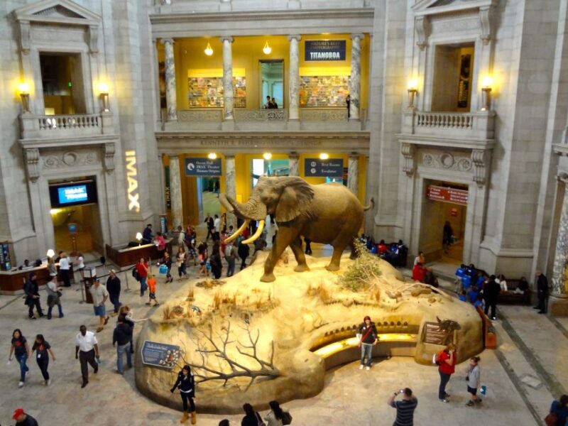 Washington DC: Museum of Natural History Private Guided Tour - Who Is This Tour Best For?