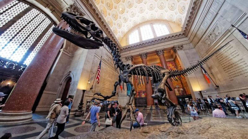Washington DC: Museum of Natural History Private Guided Tour - The Sum Up