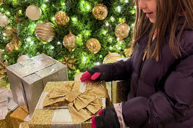 Washington, DC: National Christmas Tree & Holiday Lights Bus Tour - Final Thoughts: The Value of a Festive Experience