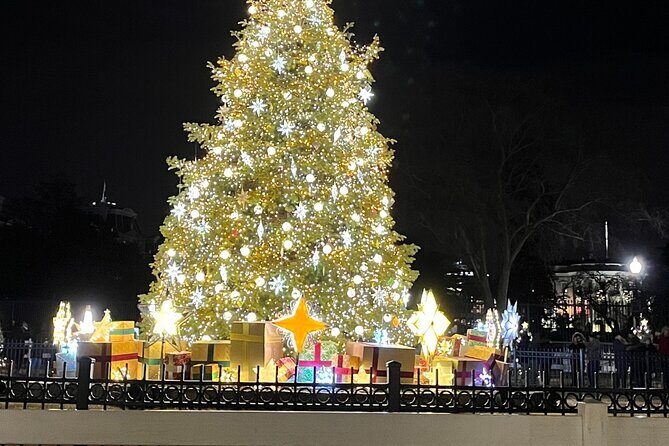 Washington, DC: National Christmas Tree & Holiday Lights Bus Tour - Who Should Book?