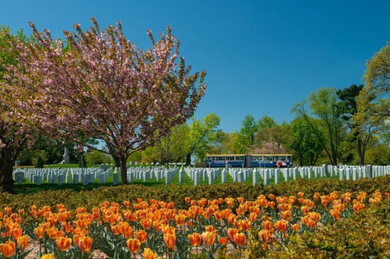 Washington, DC: Old Town Hop-On Hop-Off Trolley City Tour - Who Would Enjoy This Tour Most?