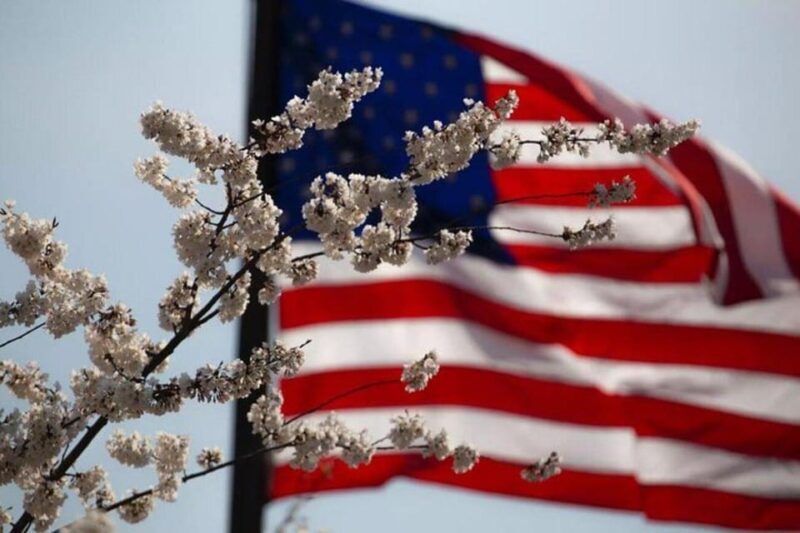 Washington, DC: Private Tour by Van to Honor Our Heroes - An In-Depth Look at the Tour Experience