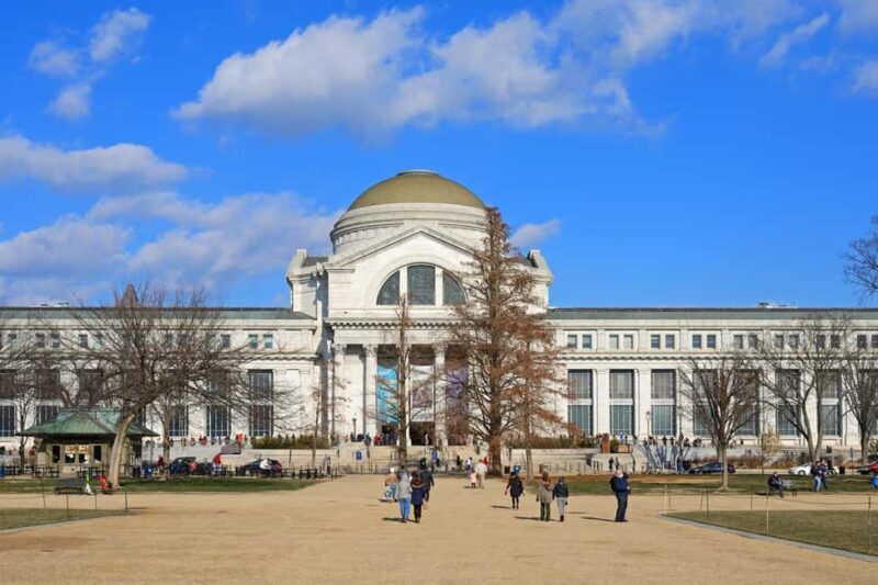 Washington DC Smithsonian Natural History Private Tour - Final Thoughts: Who Should Consider This Tour?