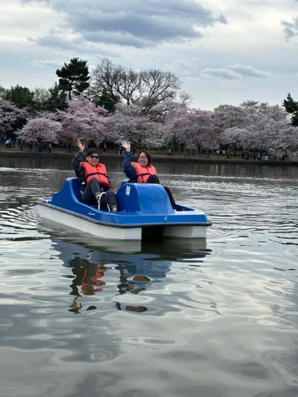 Washington DC: Tidal Basin Pedal Boat Rental - Exploring the Experience: What to Expect