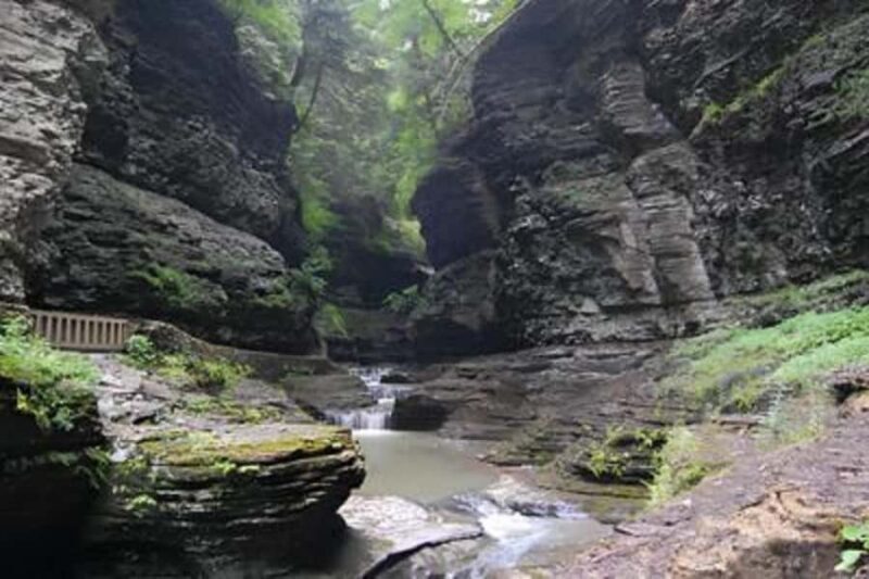 Washington DC to Niagara Falls Transfer with Scenic Stops - Transportation and Logistics