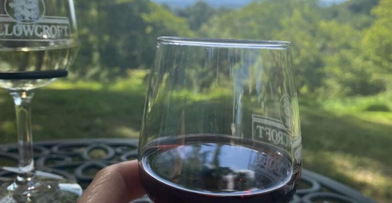Washington, DC: Virginia Wine Region Experience Tour - Key Points