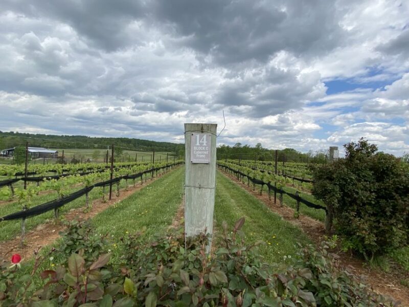 Washington, DC: Virginia Wine Region Experience Tour - FAQ
