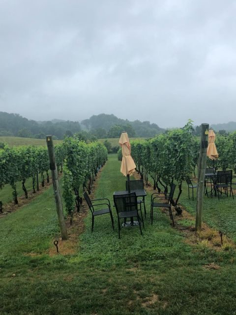 Washington DC: Winery Tour - Key Points