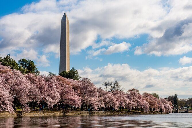 Washington Monument Top View Reserved Entry - FAQ
