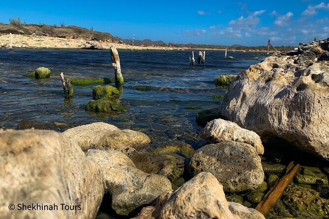 Washington Park Tour with Local Guide on Bonaire - A Detailed Look at the Washington Slagbaai National Park Tour