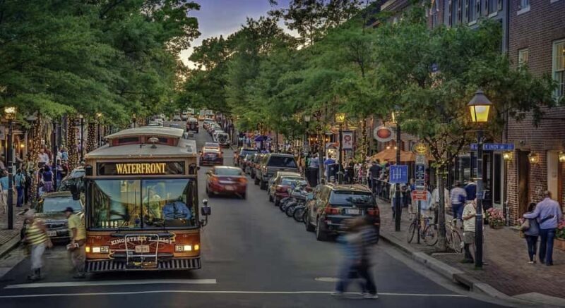 Washington: Private Tour to Alexandria and Mount Vernon - Who This Tour Is Best For