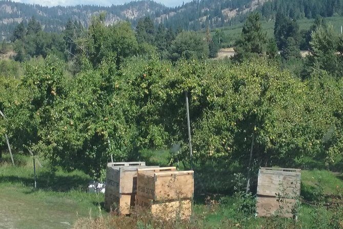 WASHINGTON ST AGRICULTURE, Apples & Irrigation - Exploring Washingtons Agricultural and Geological Wonders