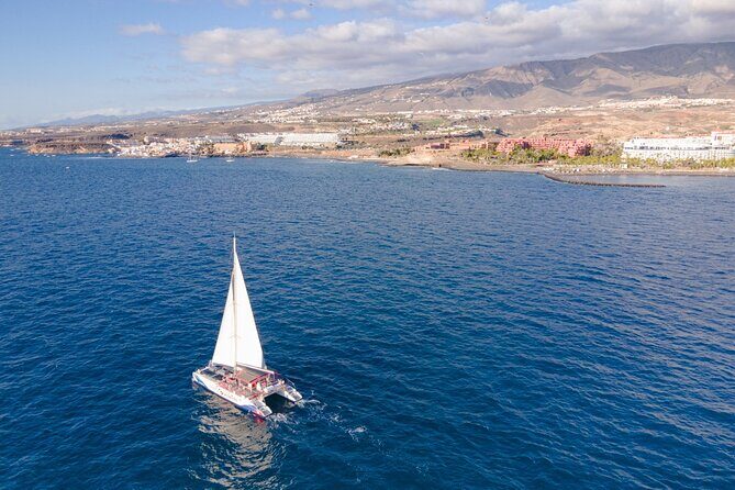 Watching and Listening Whales visiting Los Gigantes&Masca. Food&drinks included - The Experience’s Strengths and Considerations