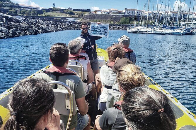 Watching whales and dolphins on Terceira Island - Who Should Book This Tour?