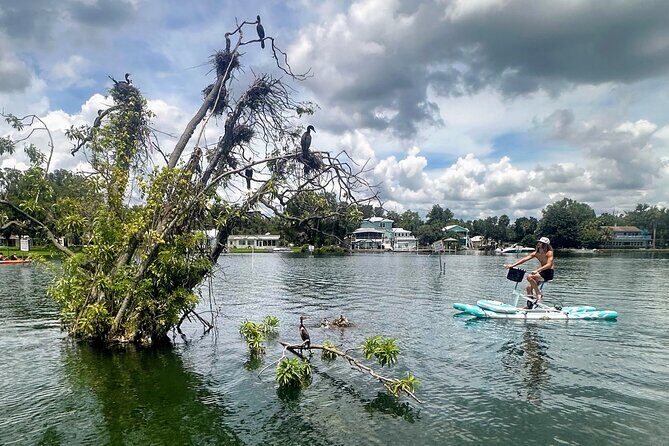 Water Bike Rental in Crystal River - A Closer Look at the Experience