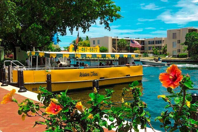 Water Taxi All Day hop-on hop-off Venice of America Boat Tour - Who Should Consider This Tour?