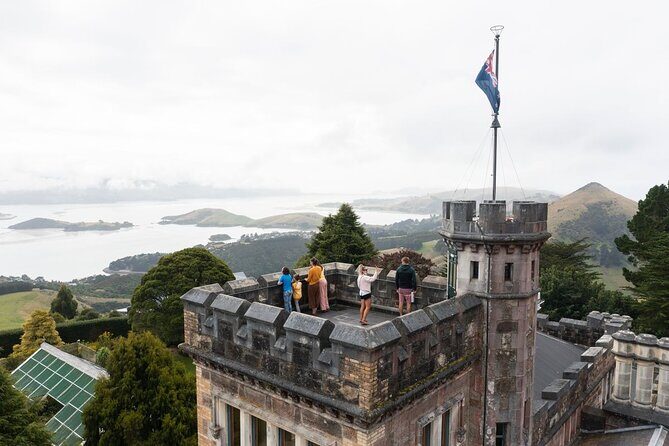 Water Taxi and Shuttle to Larnach Castle - Final Thoughts: Who Should Book This Tour?