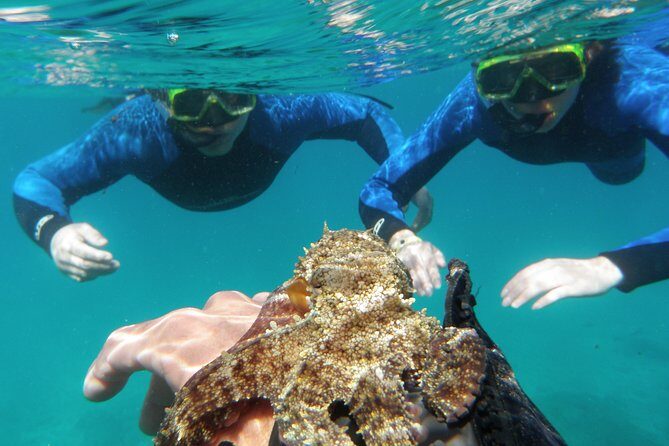Water Taxi Lobos Island - FAQ