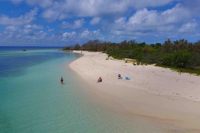 Water Taxi Signal Island Turtle Tour for cruisers - Frequently Asked Questions