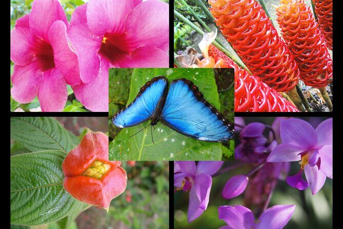 Water Tubing and Hot Springs Eco Adventure at Rincon de la Vieja from Playa Hermosa - FAQ