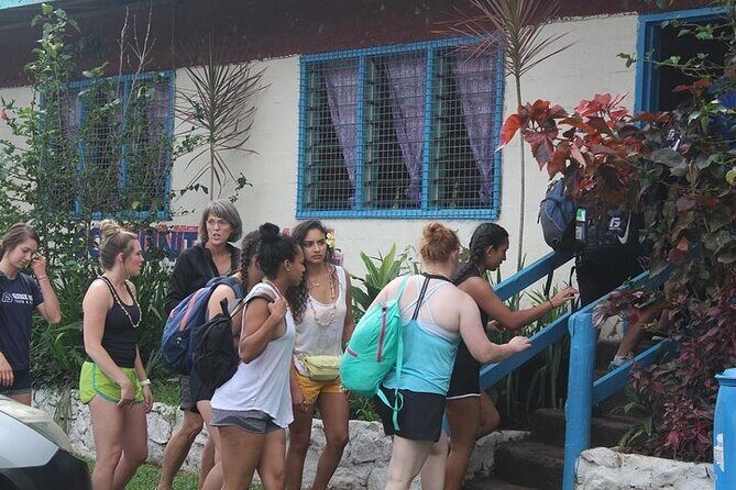 Waterfall and Fijian Village Tour with Light Lunch ex Nadi Area Hotels - Key Points