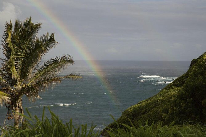 Waterfall and Rainforest Adventure - A Deep Dive into the Maui Waterfall and Rainforest Tour