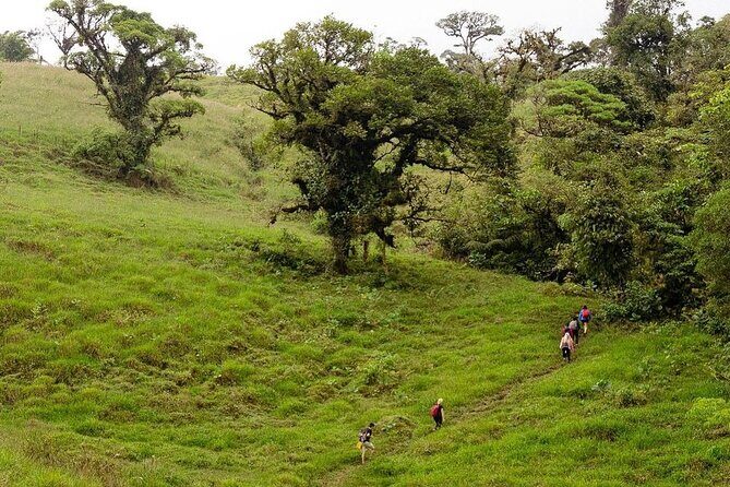 Waterfall Bajos del Toro Hiking Experience - An In-Depth Look at the Bajos del Toro Waterfalls Hike
