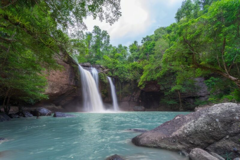 Waterfall, Chocolate Tour, Rainforest, Royal Historical - What’s Included and What to Expect