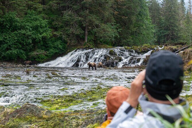 Waterfall Creek Brown Bear Viewing Juneau - FAQ