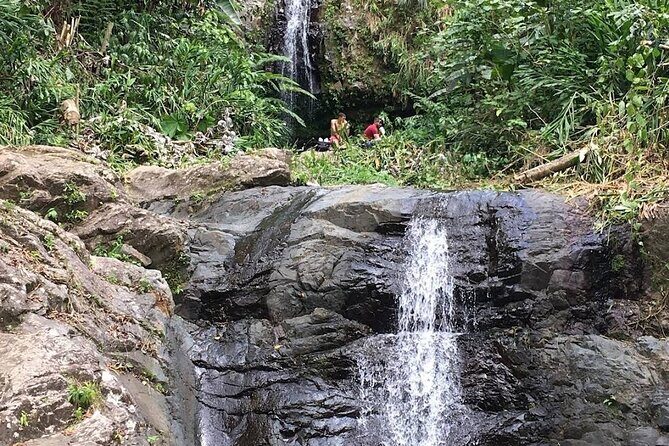 Waterfall Curtain Hidden Rainforest Gem Las Cascadas Delicias - Who Would Love This Tour?