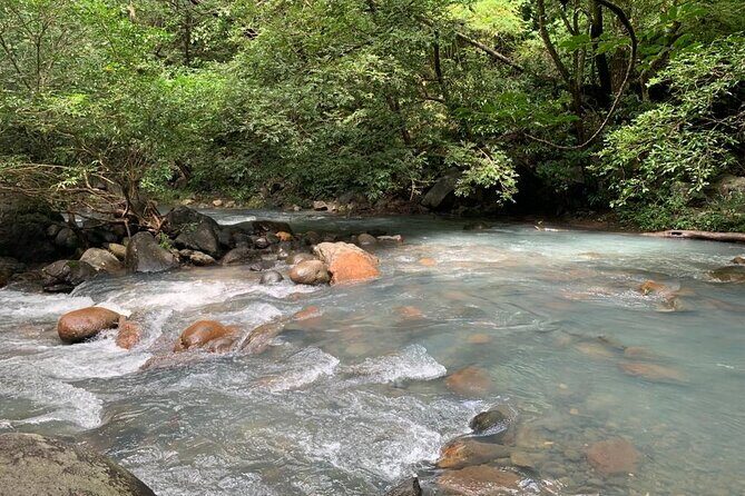 Waterfall Discovery & Zipline Adventure - Final Thoughts: Why Choose the Waterfall Discovery & Zipline Adventure?