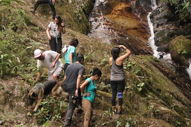 Waterfall Hike - Frequently Asked Questions