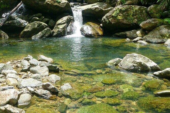 Waterfall Hike in Remote Area of El Yunque Rainforest; San Juan - Who Should Consider This Tour?